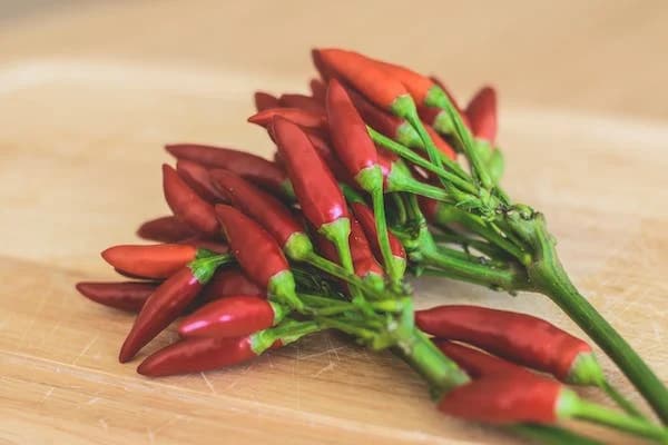 Red Chili